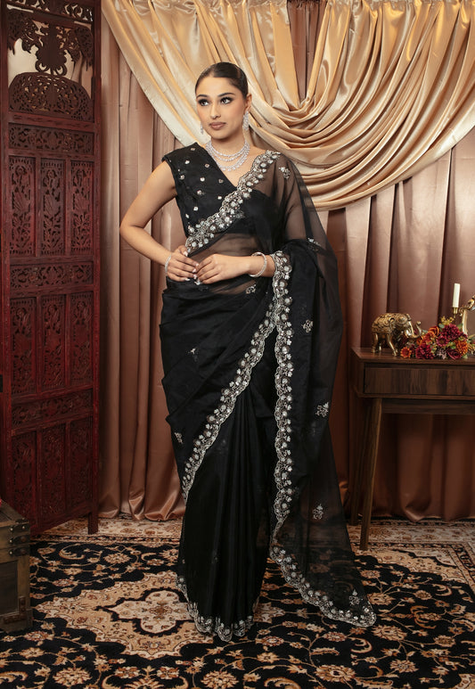 Luxury Organza Sequin & Beadwork Embroidery Sari AC002