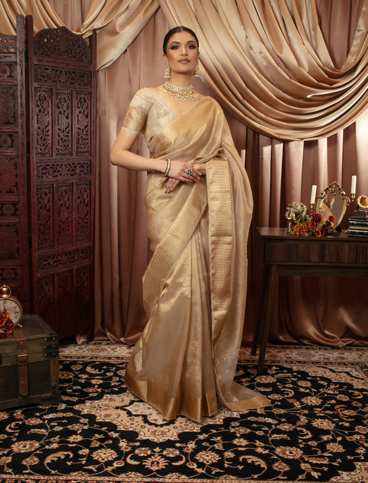 Luxury Crushed Silk Beadwork Embroidery Sari DF374