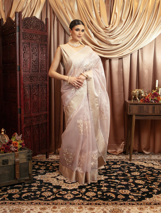Luxury Tissue Silk Pita Embroidery Sari DF377