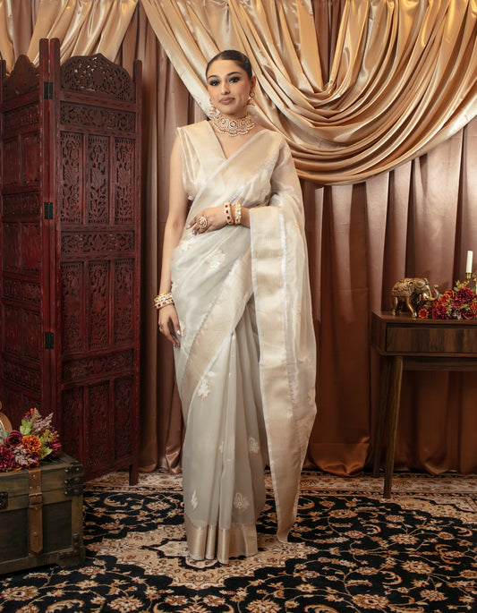 Luxury Tissue Silk Pita Embroidery Sari DF379