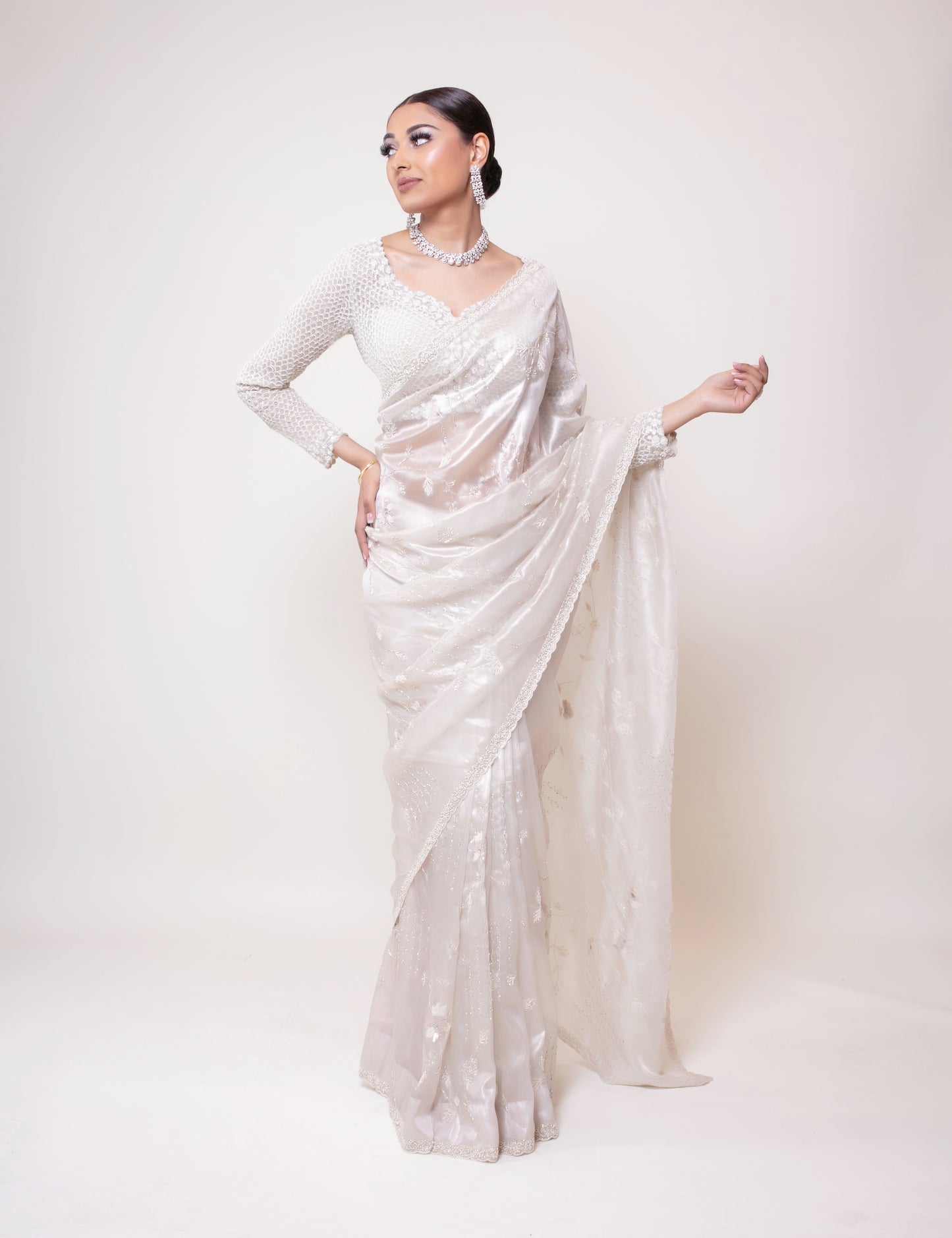 Luxury Tissue Silk Beadwork Sari NC039