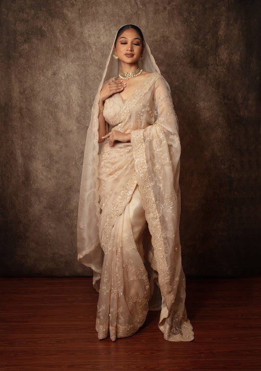 Luxury Organza Beadwork & Sequin Embroidery Sari W/Dupatta EZ019